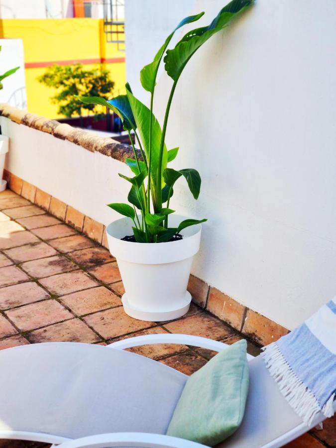 Loft & Private Rooftop With Bbq เซบีญา ภายนอก รูปภาพ